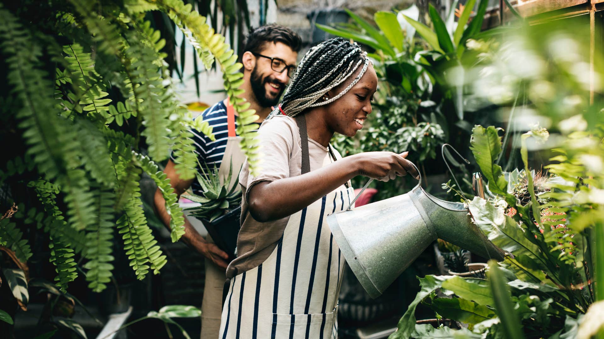 Plants inside homes couples truly happy