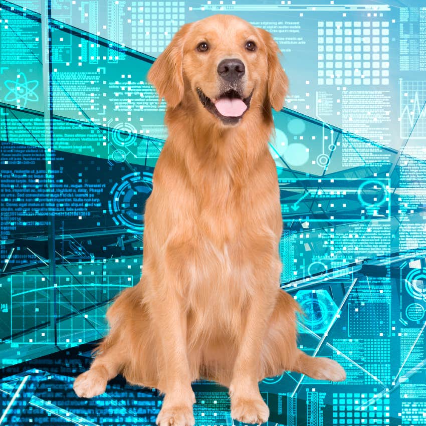 virtual pet therapist jobs ai create ceo predictions