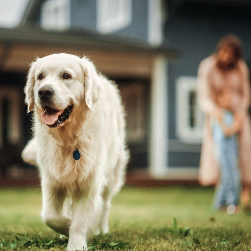 woman who wants more money renting out yard