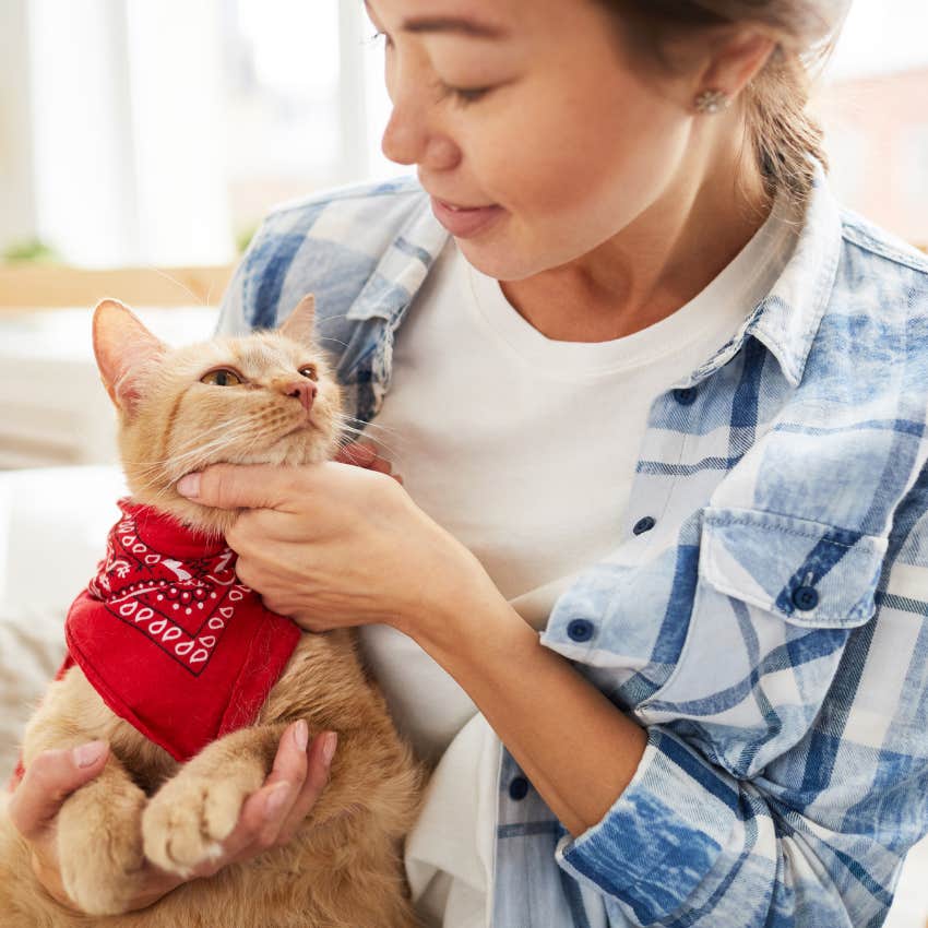 cat owner cuddling their cat
