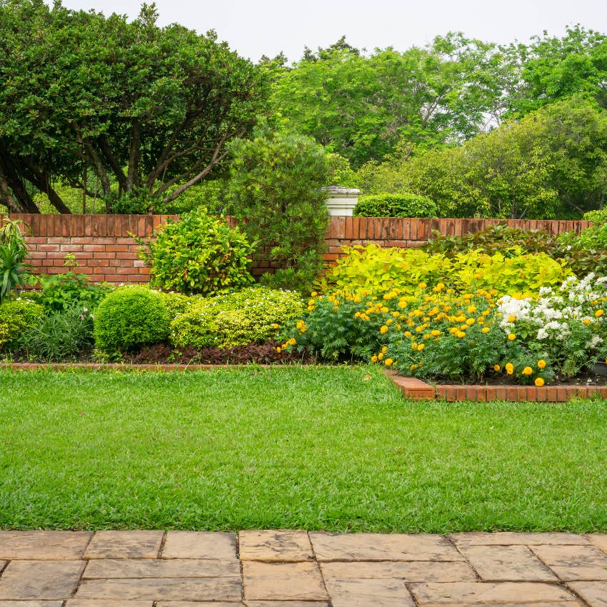 lawn of a retired couple