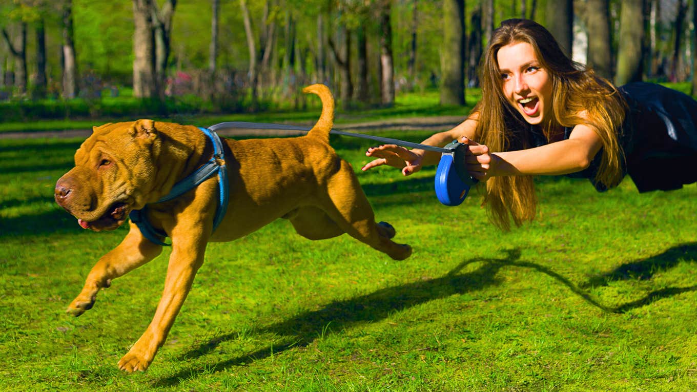 If You See A Dog Doing These Things In Public You Know They Were Not Trained Well At All