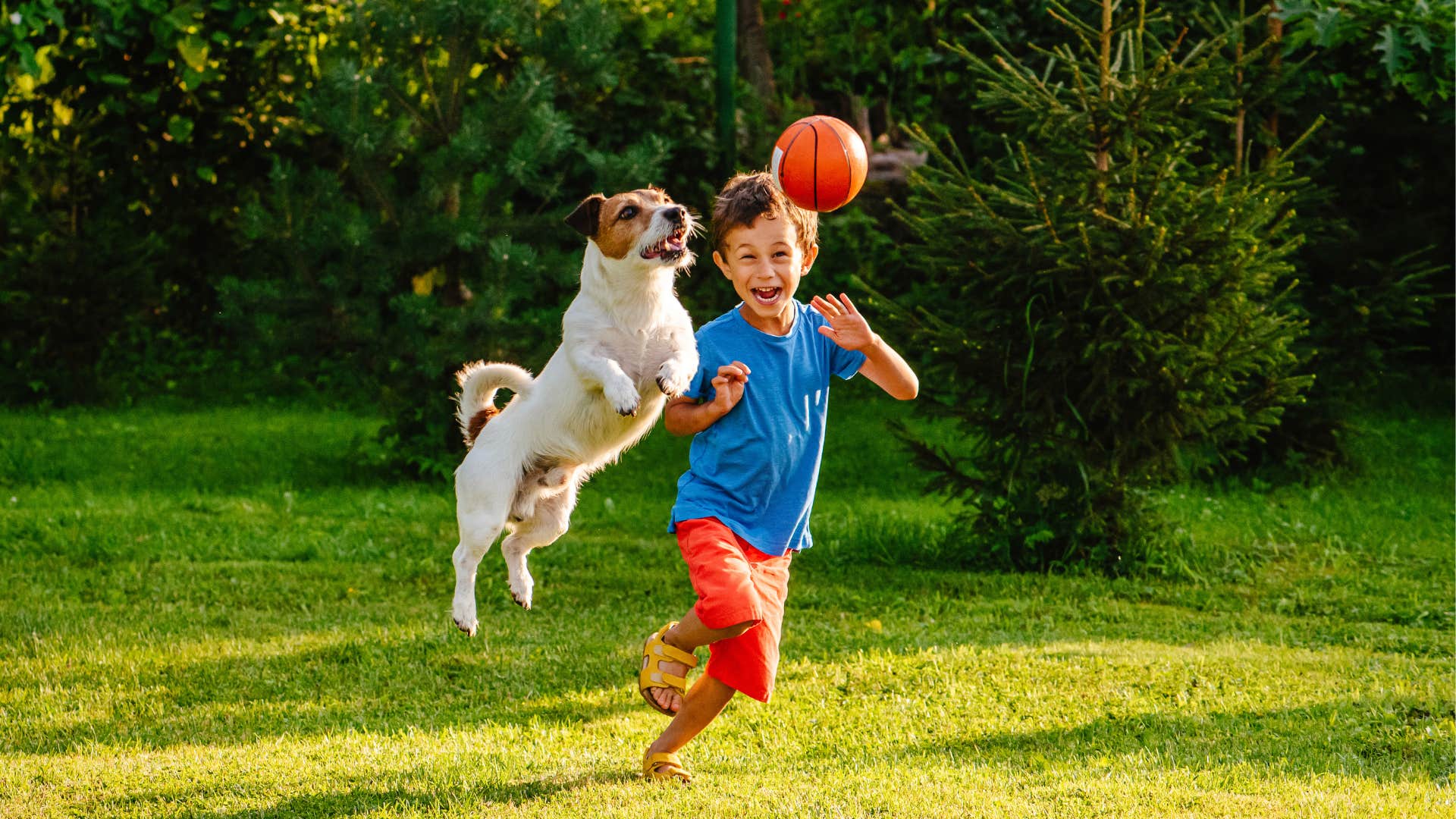Rare pet teaches boy