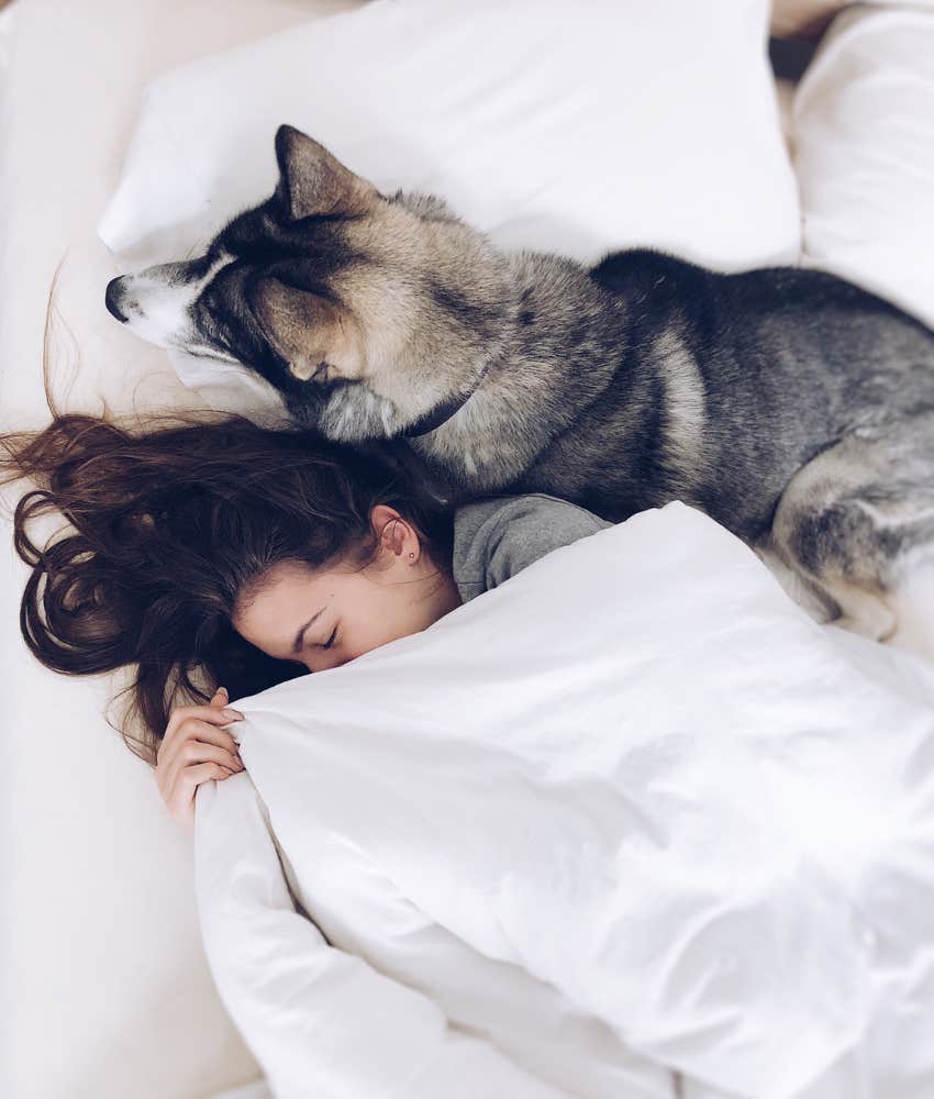 Women sleep with dogs improved sleep
