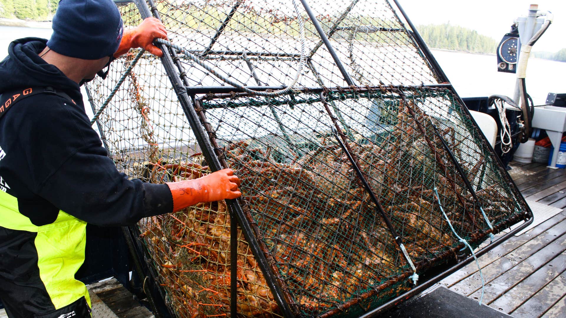 seriously high-paying jobs that no one wants to do anymore crab fisher