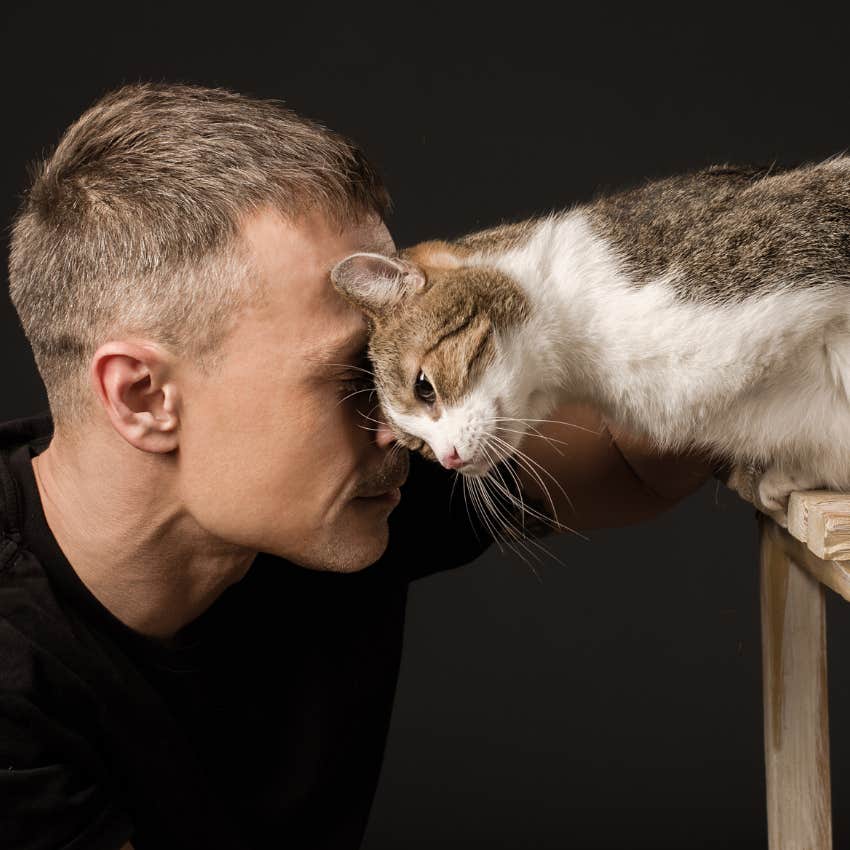 cat and owner bonding