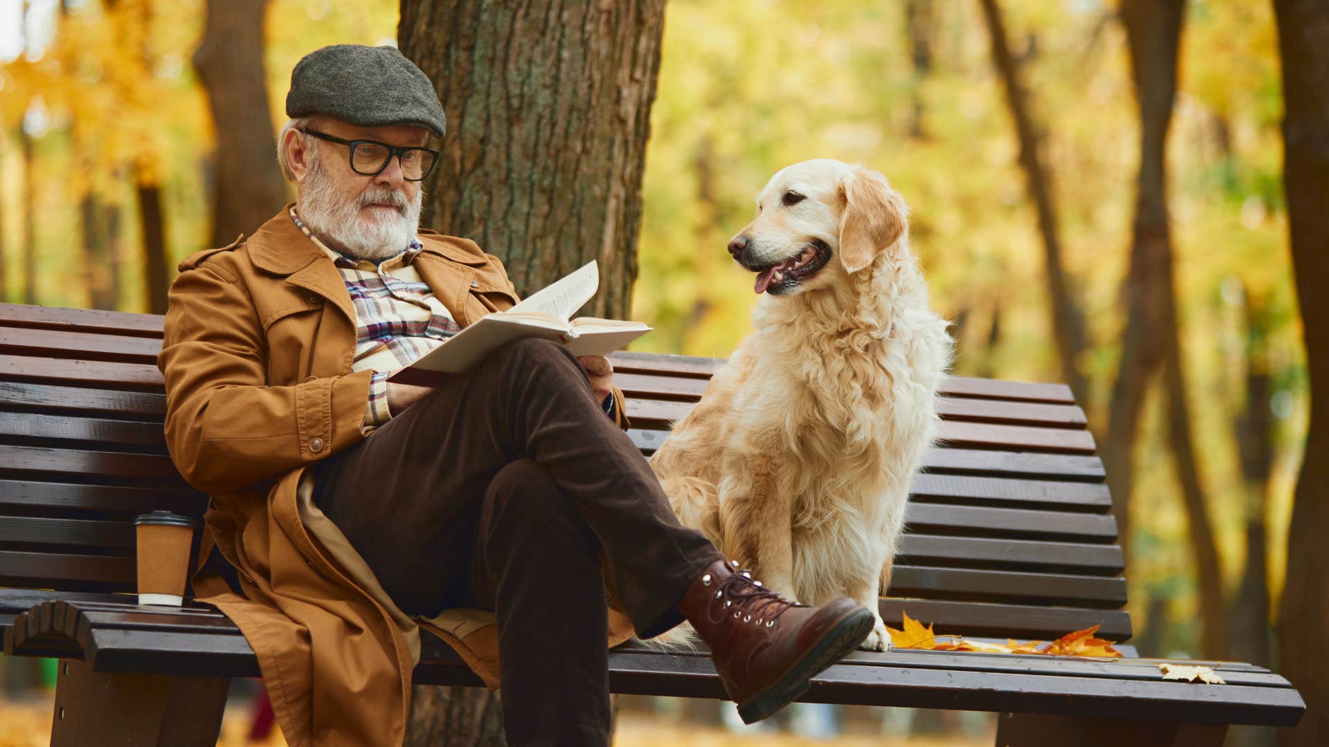 Pet dogs knows human well