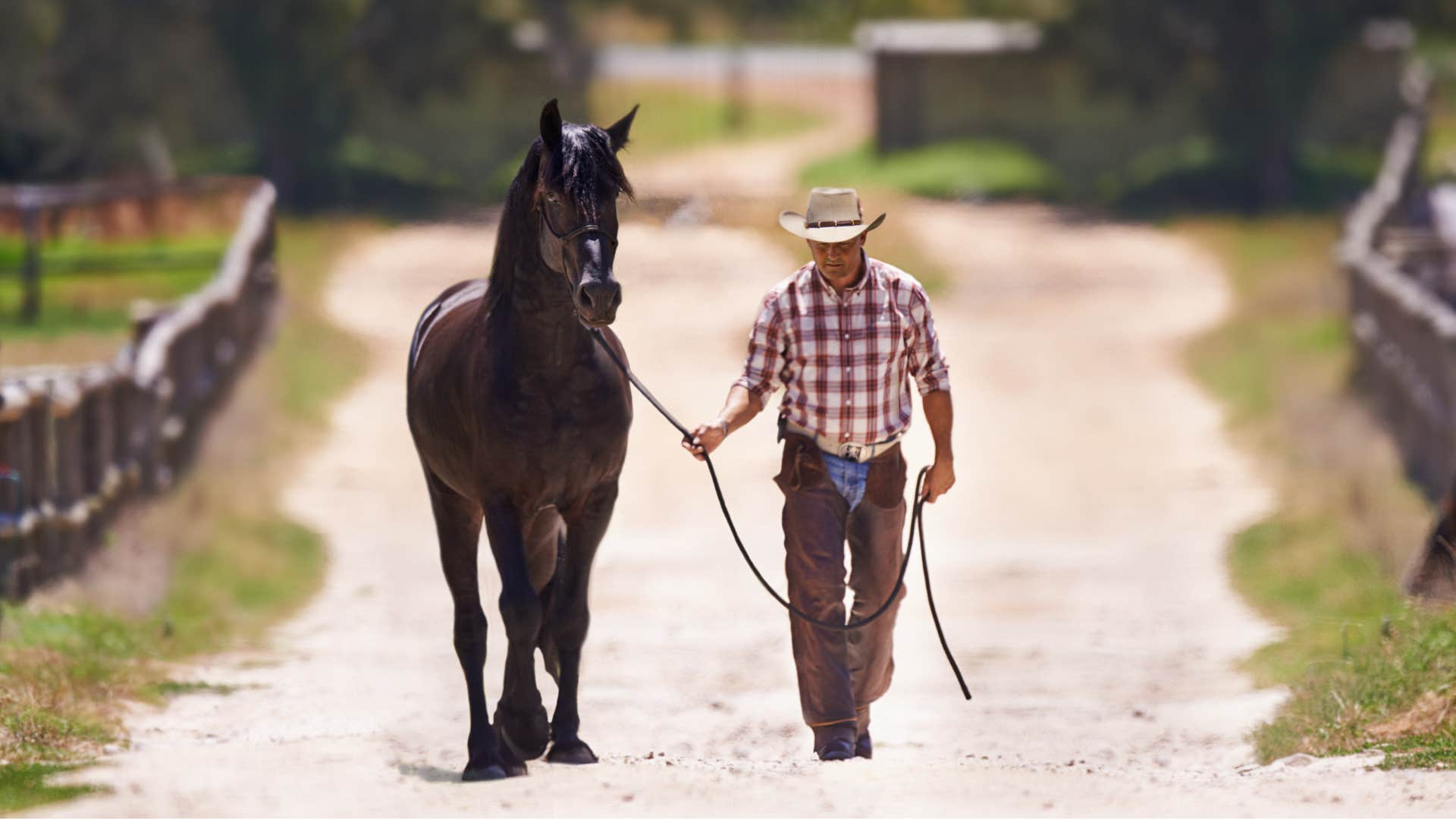 Human and horse share needs