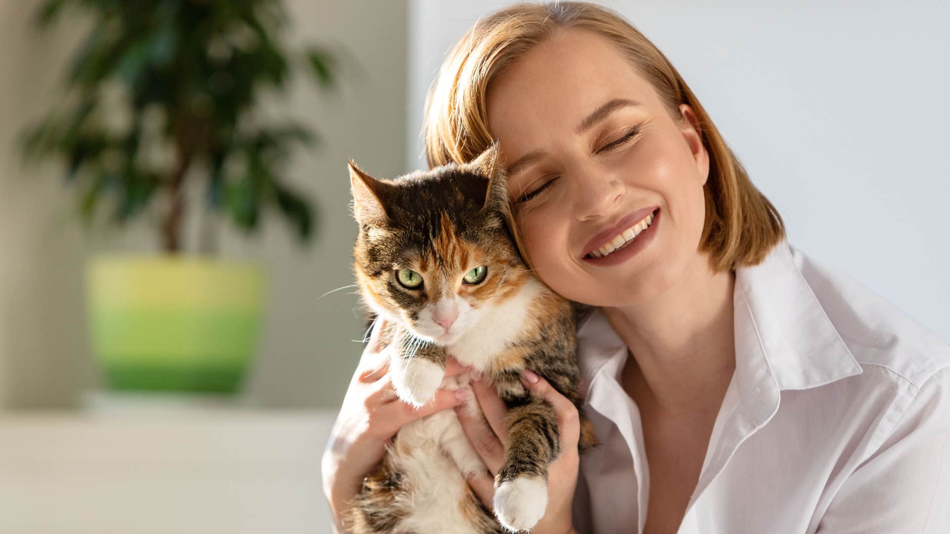 things a woman says when she deeply regrets her marriage single cat lady era