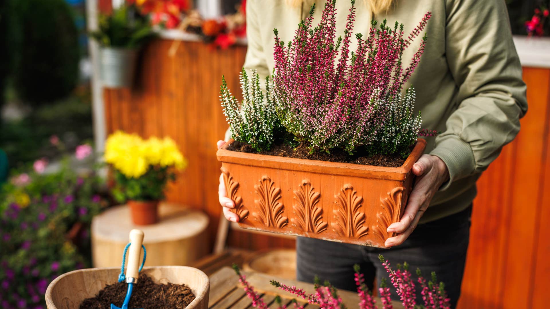 person holding a potted plant