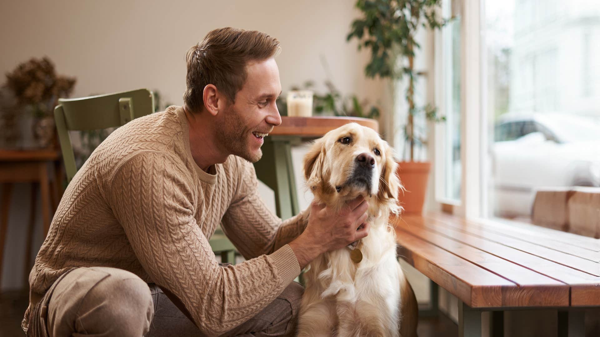 common mistakes that hurt your dog's feelings without you even realizing invading their personal space man annoying his dog invading his personal space
