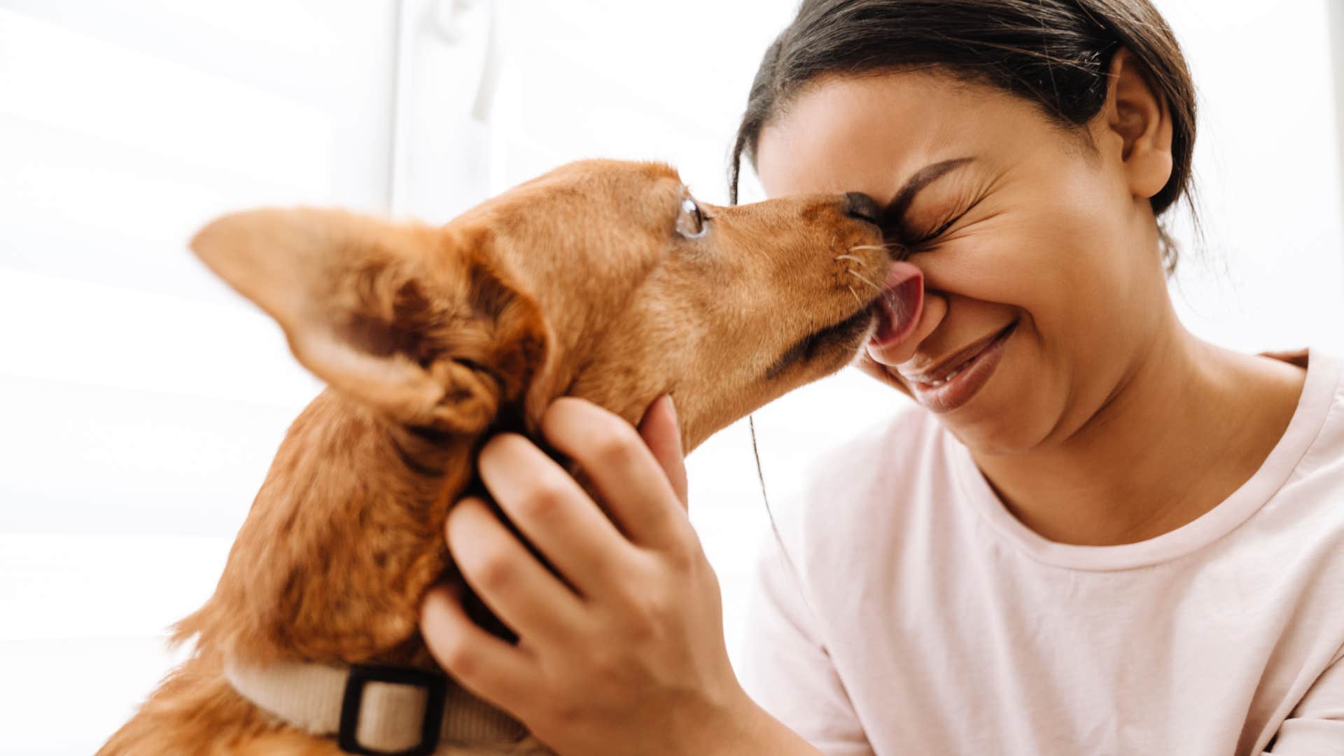 common mistakes that hurt your dog's feelings without you even realizing pushing them away when giving kisses woman pushing dog away trying to lick her