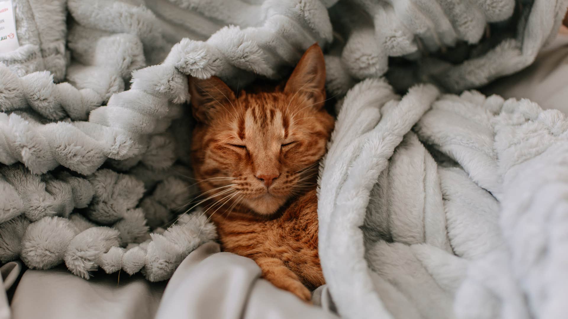 couples who need to sleep in separate beds to fall asleep as they get older usually have these reasons avoiding pets or children that disturb them