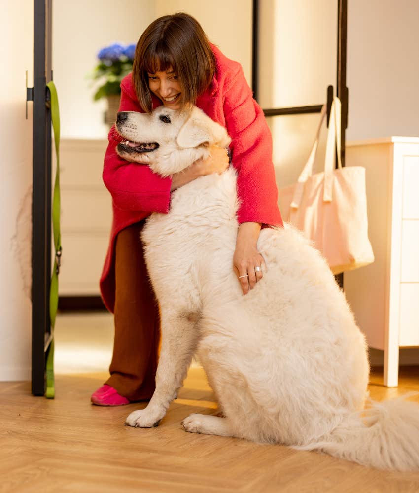 dog that understands different goodbyes from owner