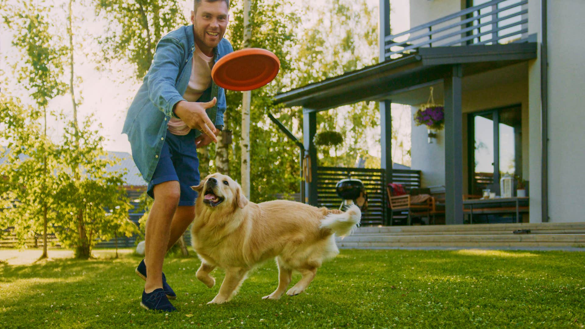 empty nesters who are truly at peace usually start doing these joyful things at home spending quality time with pets