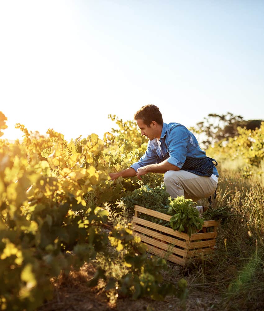 food contamination end world theory man farming crops food contamination end world theory