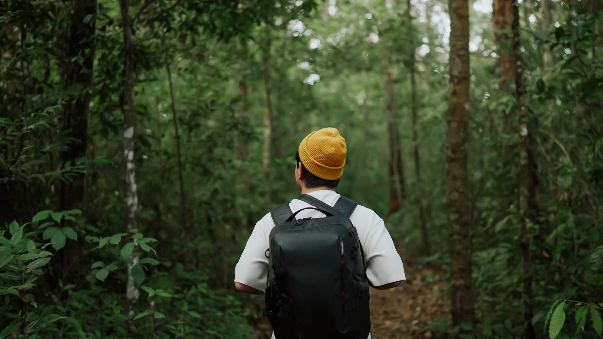 if you prefer doing these things alone instead of being around people you're more introverted than you think finding solace in nature if you prefer doing these things alone instead of being around people you're more introverted than you think finding solace in nature