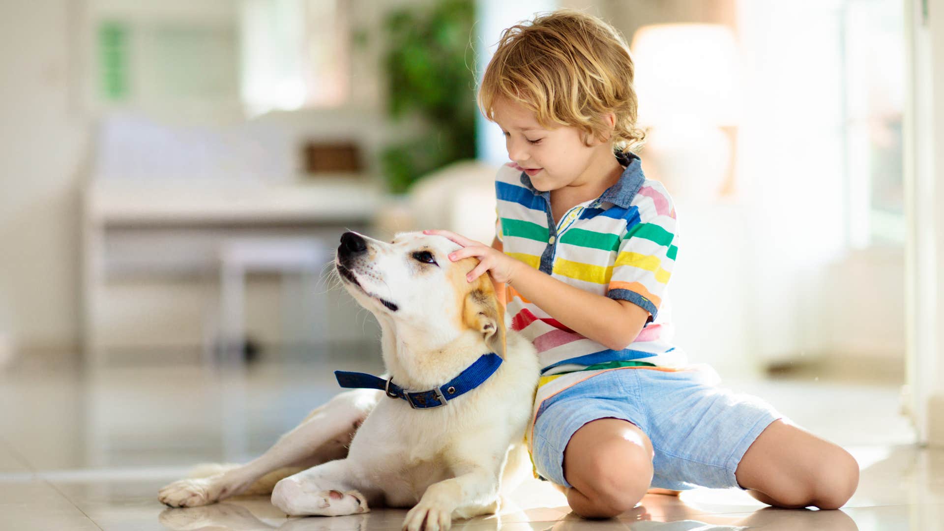 lessons the most successful kids learn from their parents respecting each other and all human beings kid showing dog respect petting him