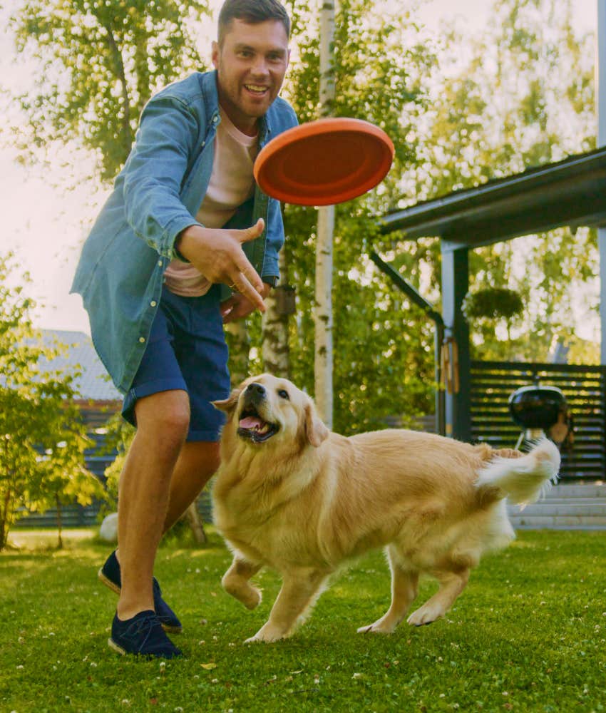 everyday things make dog feel respected giving them choices man playing frisbee with dog