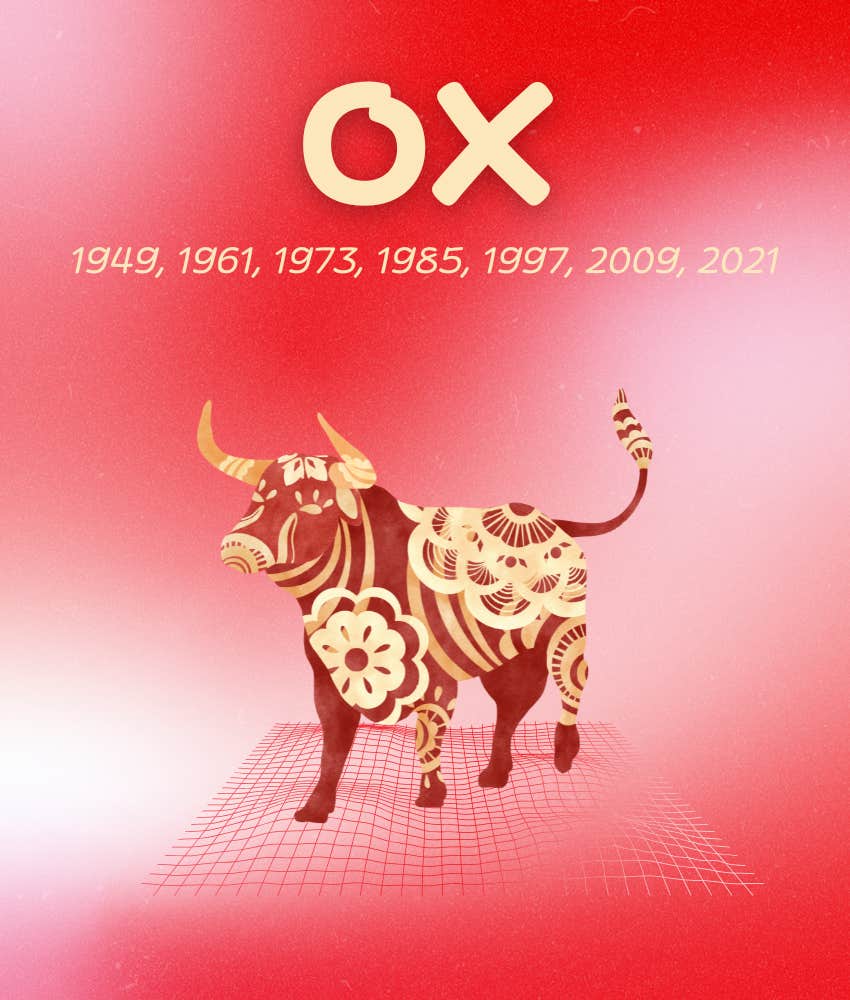 ox chinese zodiac signs luck love week november 3 - 9, 2025