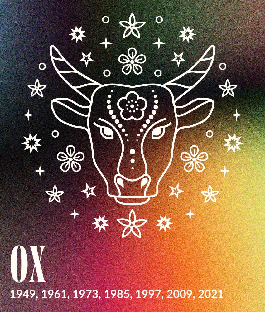 ox november 2025 chinese horoscopes animal sign