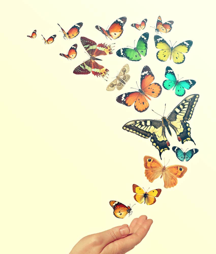 Colorful butterflies float from a hand