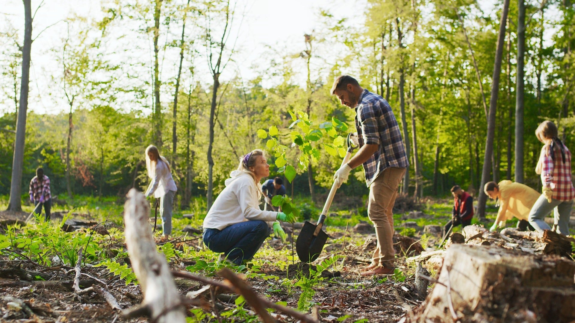 man who volunteers regularly to see more of the world