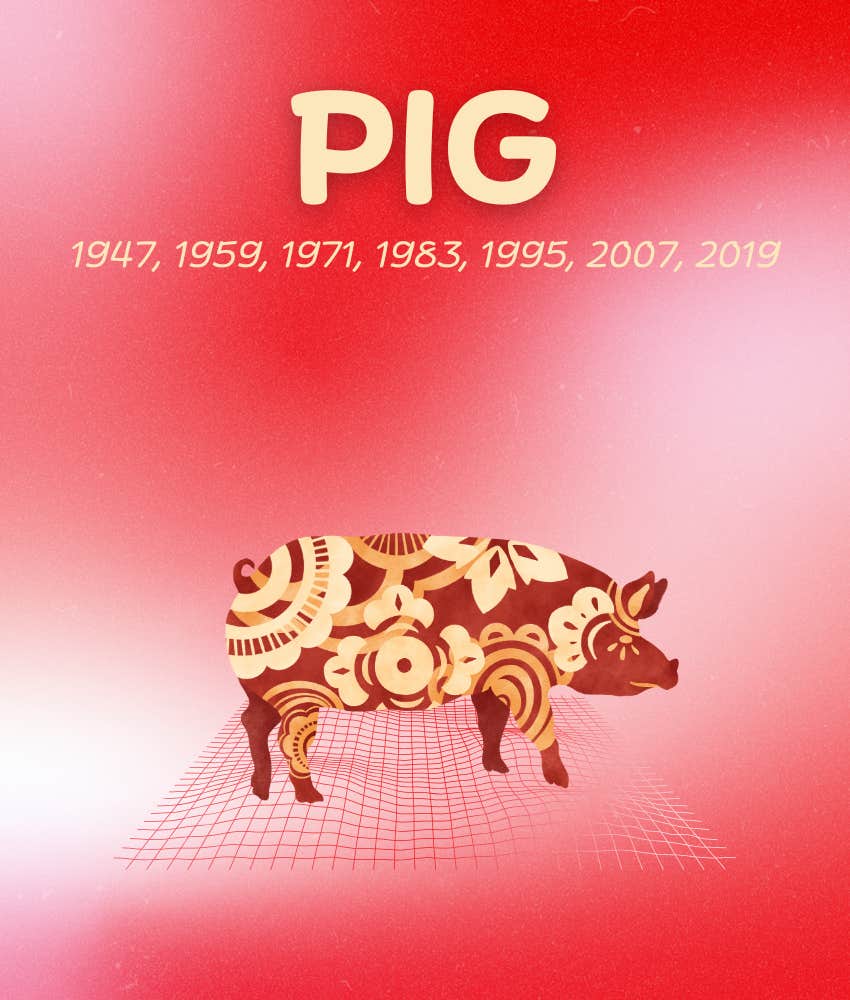 pig chinese zodiac signs luck love week november 3 - 9, 2025