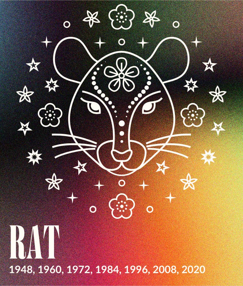 rat november 2025 chinese horoscopes animal sign