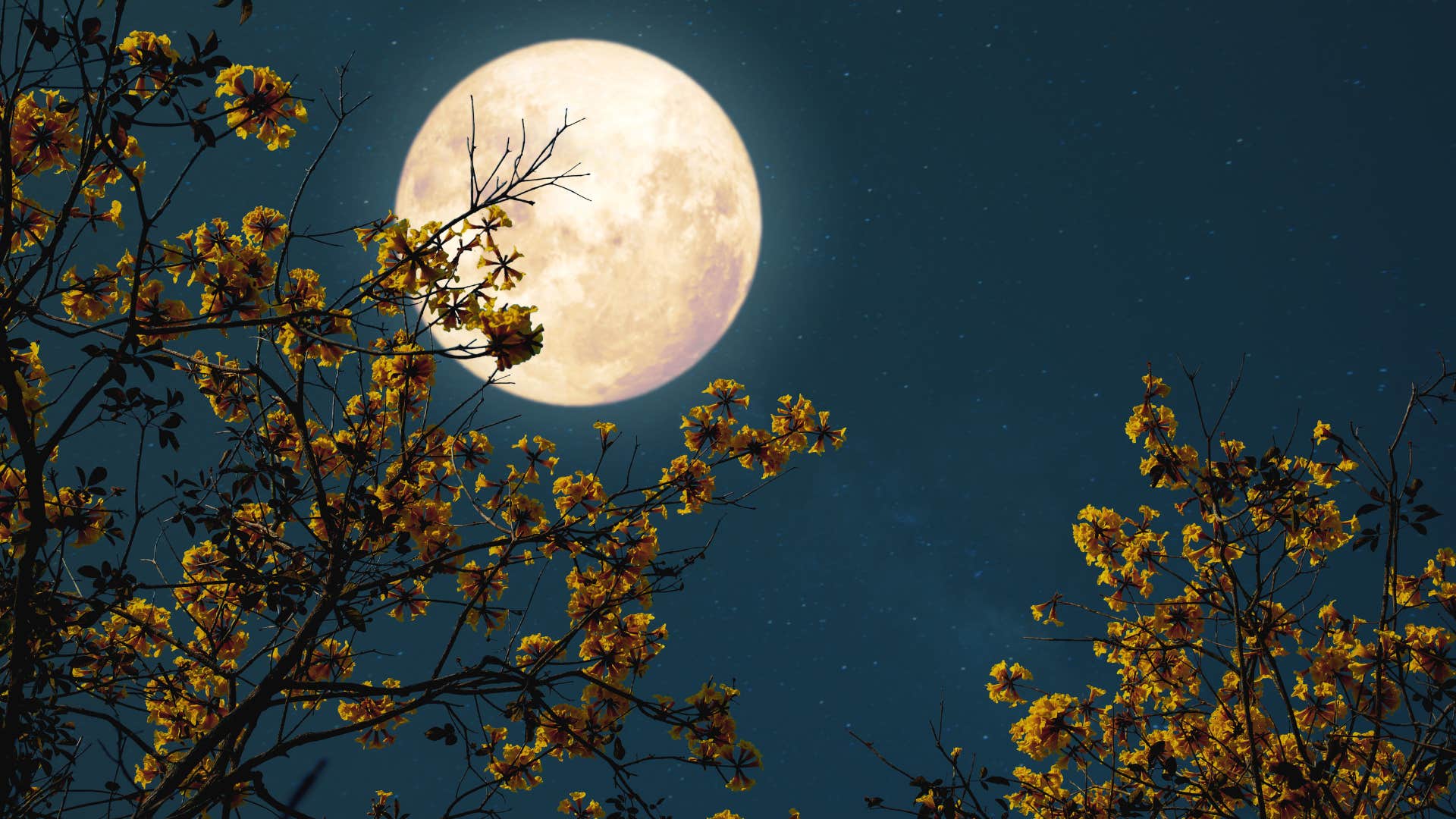 silly things people believed as kids that are hilarious to think about now the moon was made of cheese