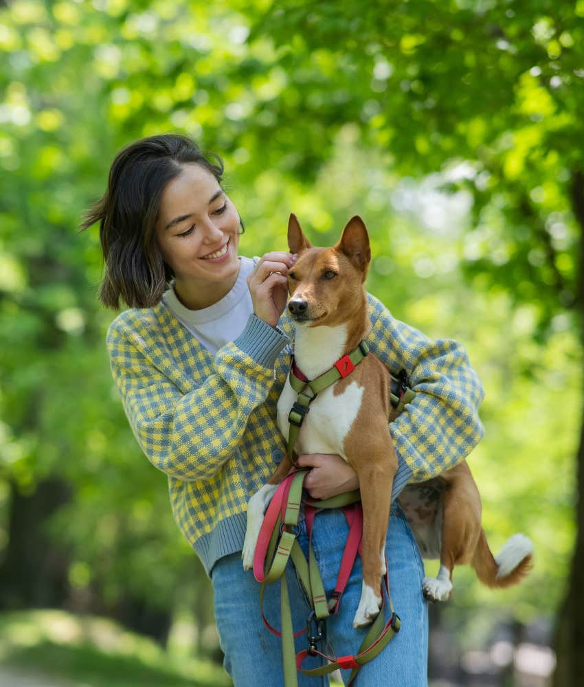 everyday things make dog feel respected social boundaries woman respecting dogs boundaries