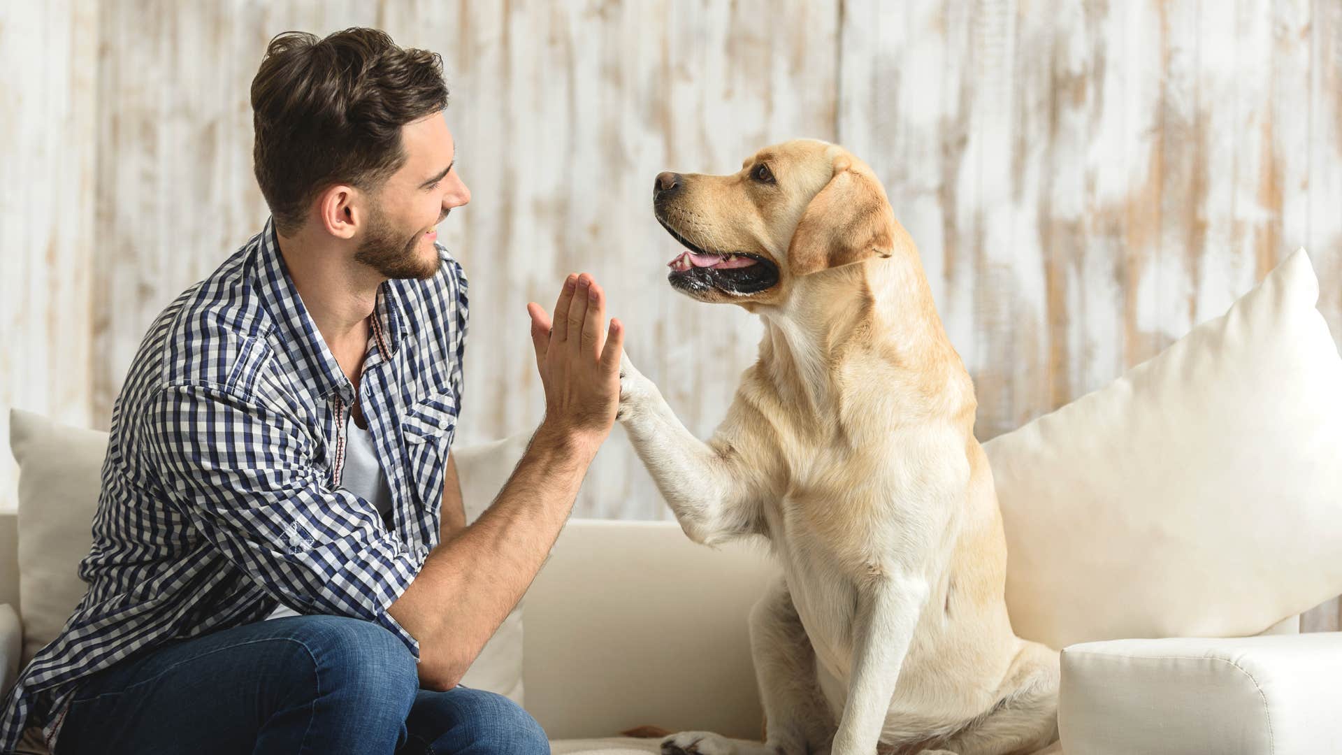 man giving dog high five