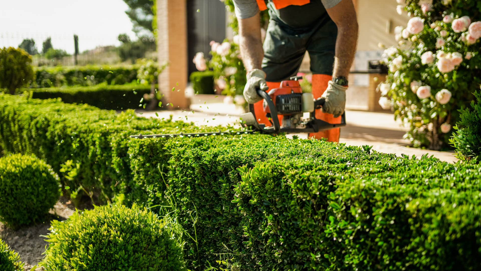 rich people use outsourced labor at home that the rest of us have no idea about