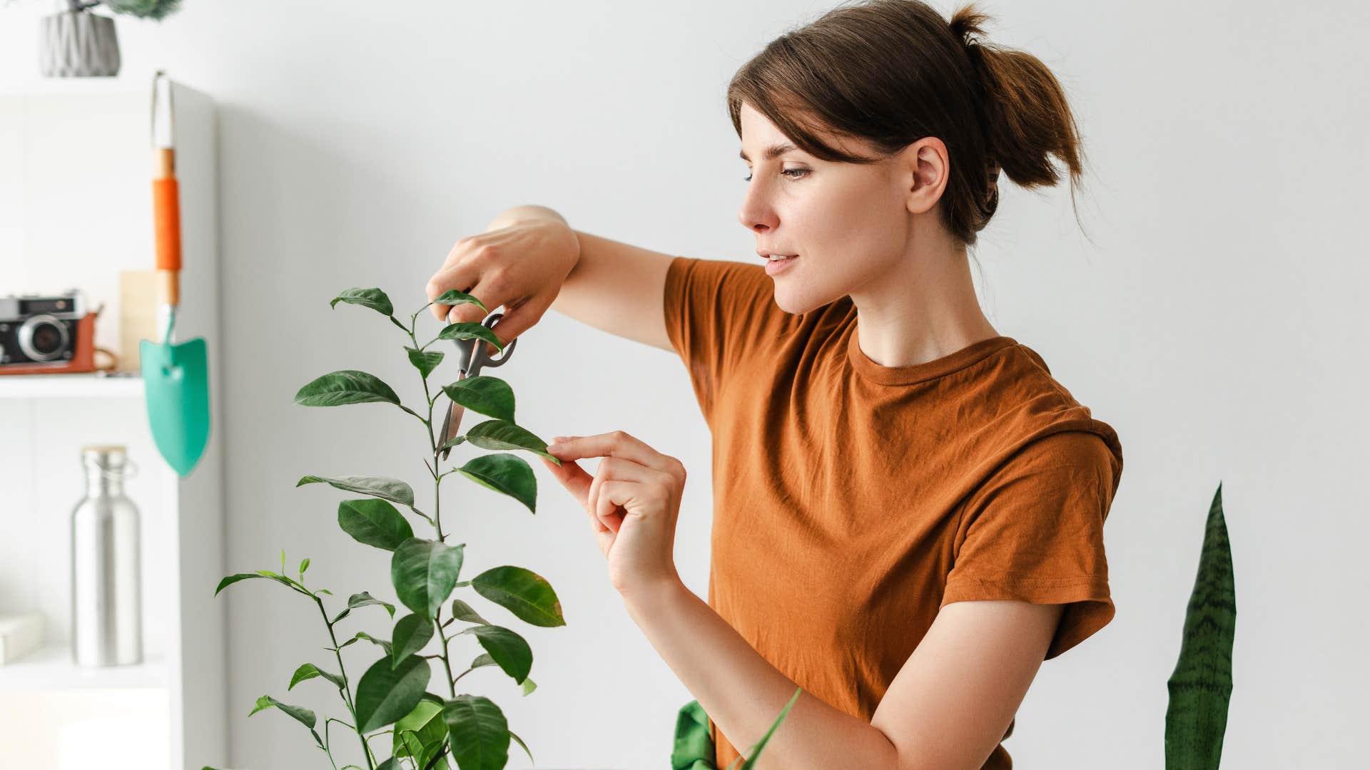 woman watering houseplants at home