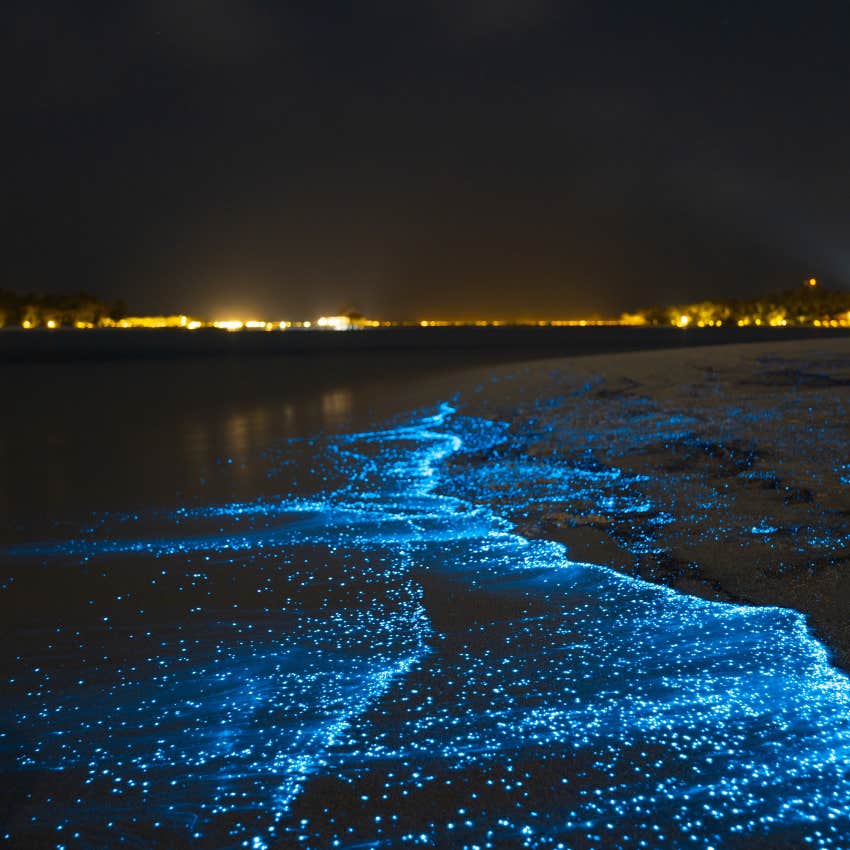 travelers swear by these places have unexplainable energy sea of stars maldives sea of stars, maldives