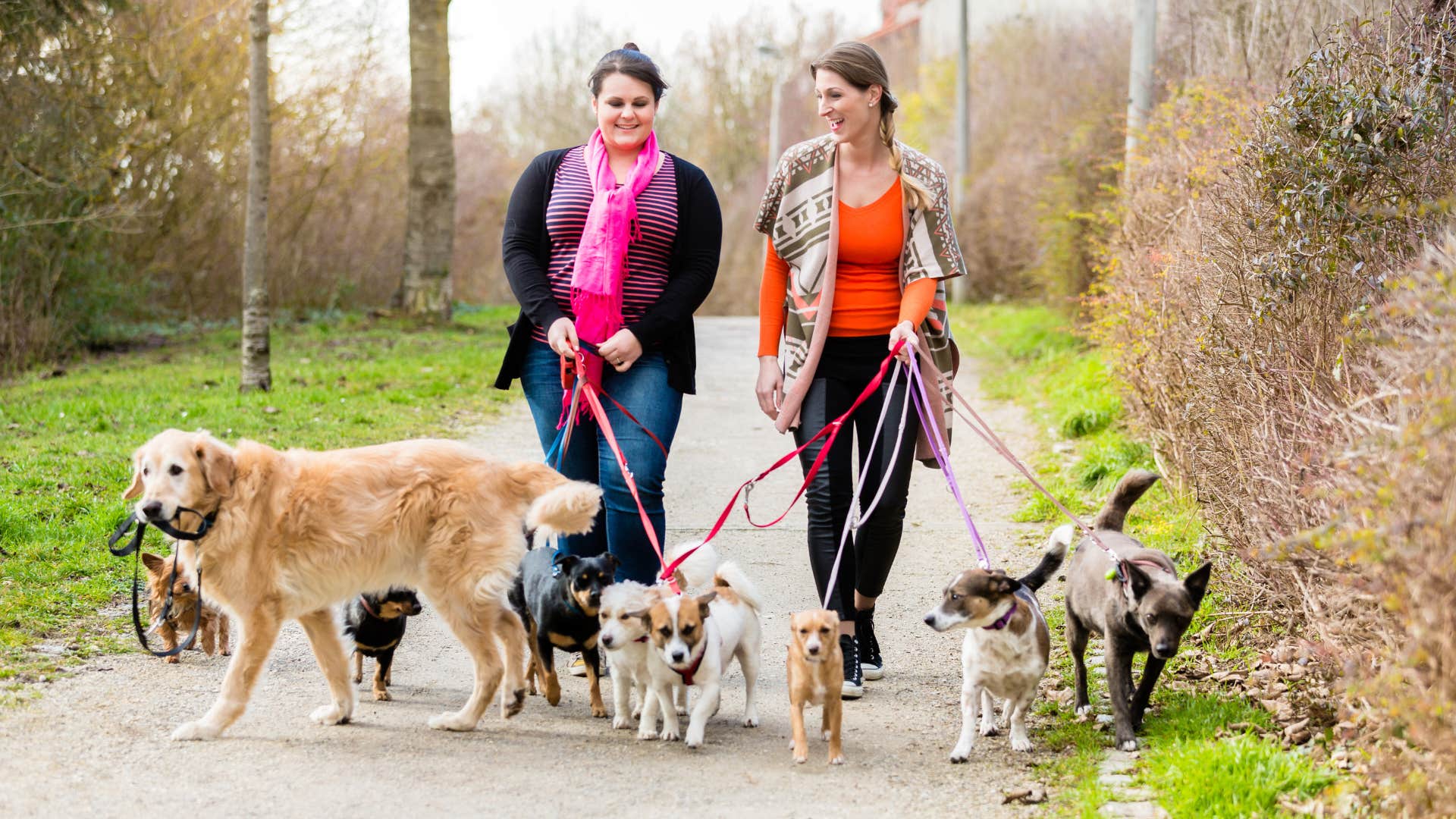 wealthy people delegated these tasks way before they could ever afford to pet care