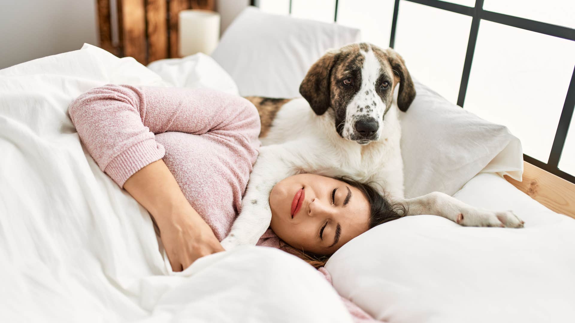 dog waking up woman in bed