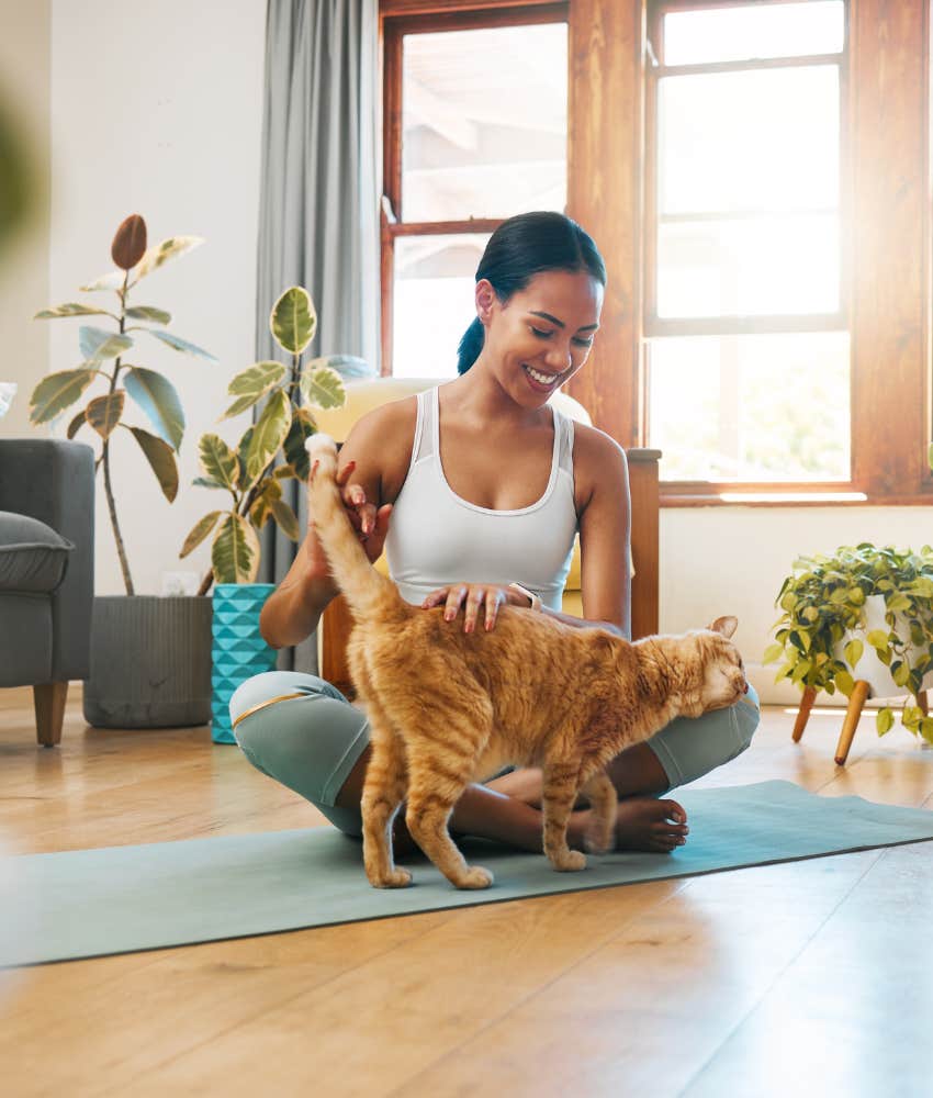 Calm person takes time out to breath and pet cat