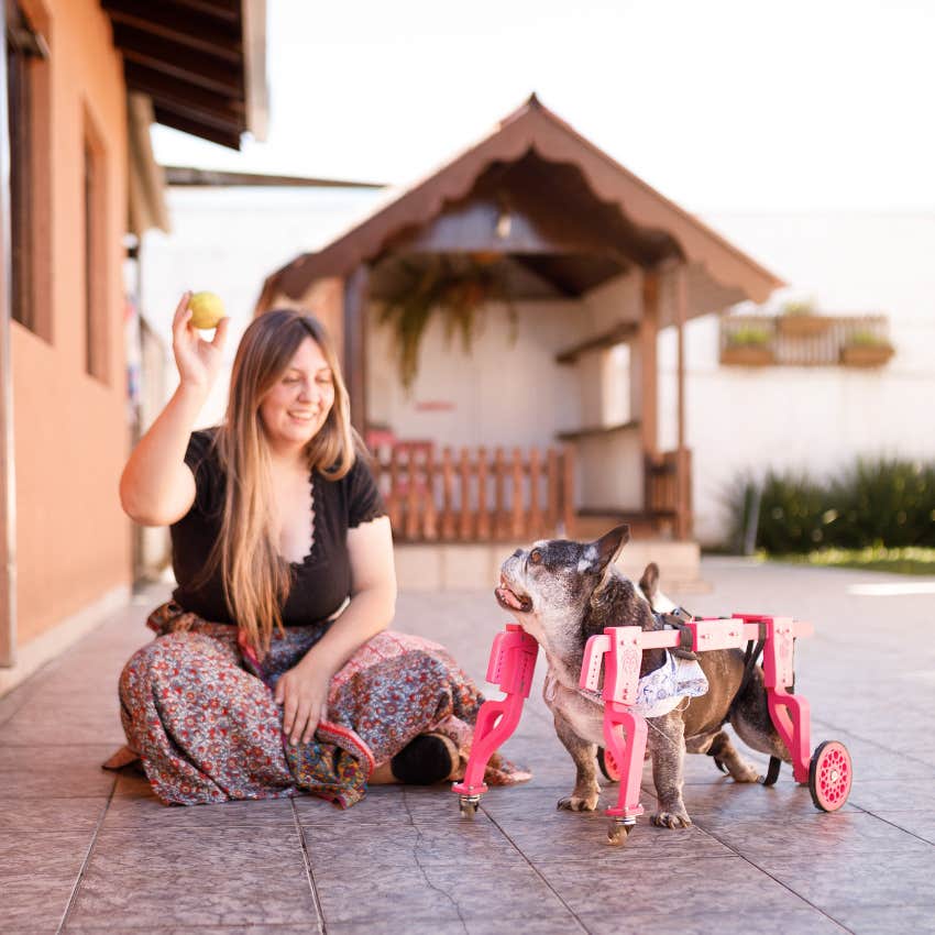disabled dog playing with its owner