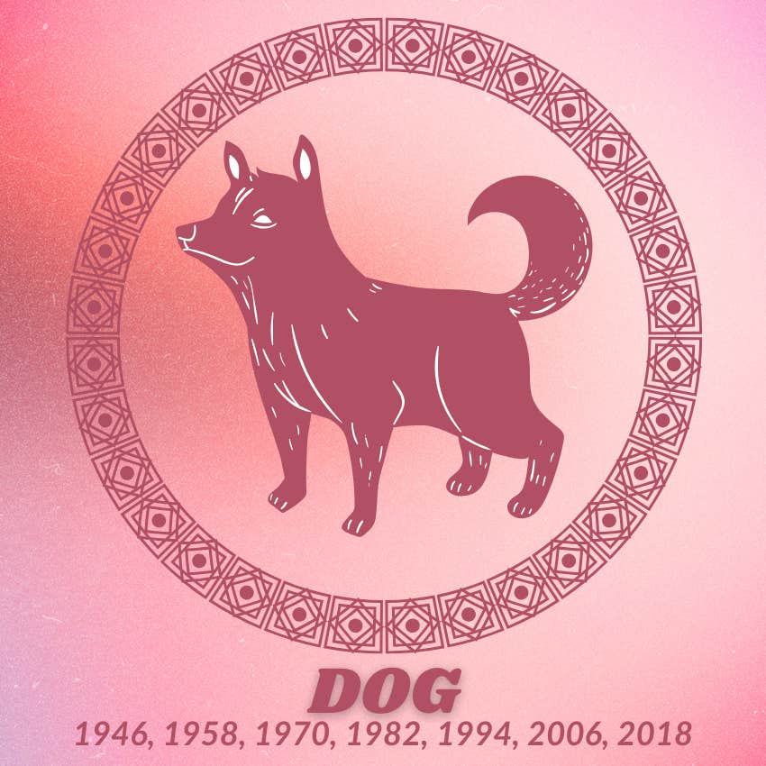 dog chinese zodiac signs luck good fortune November 9 2025