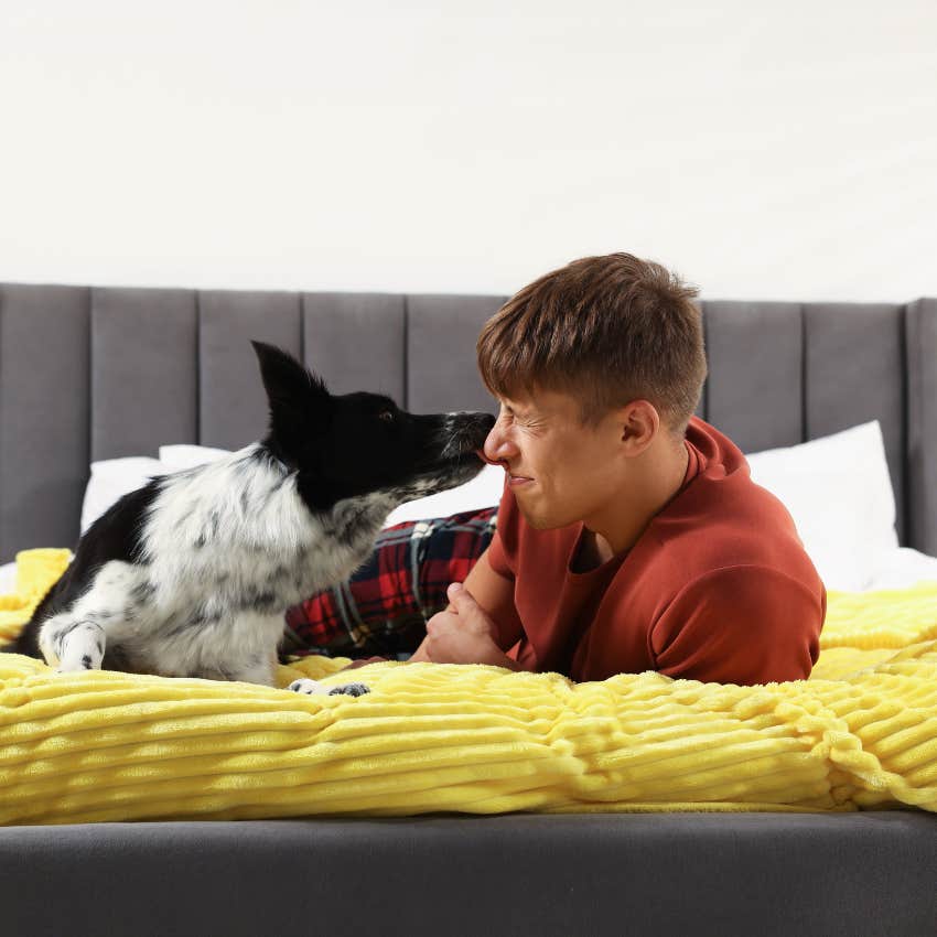 Dog owner annoyed by nighttime lickings