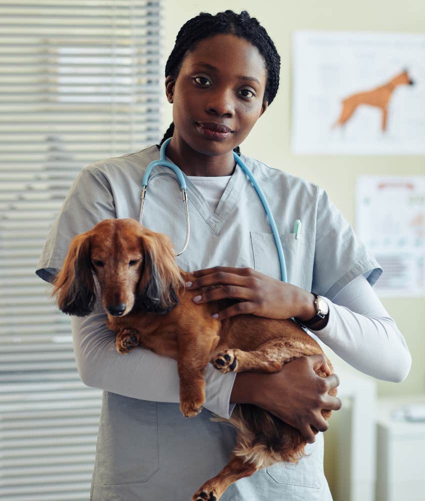 Empathic veterinarian lovers animals