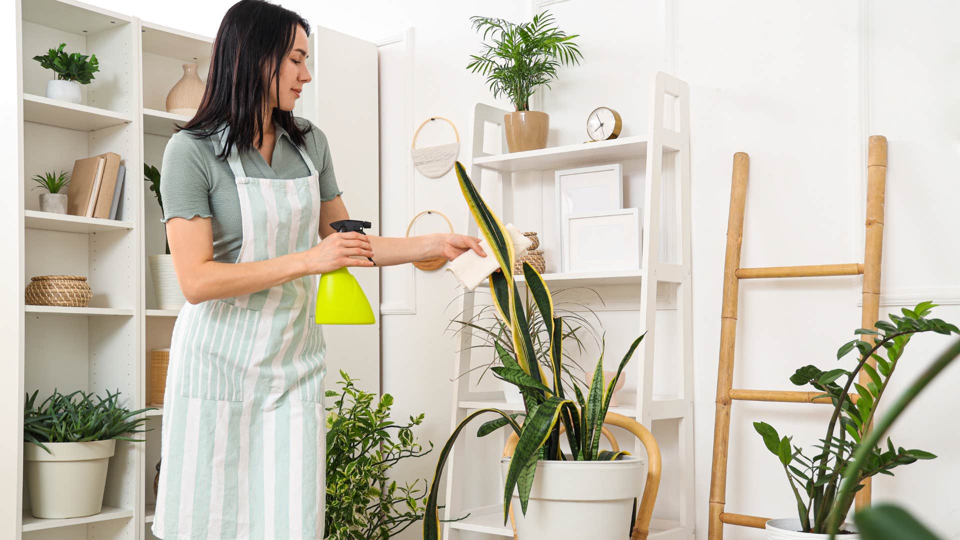 woman filling her home with plants for their allergy-relieving benefits
