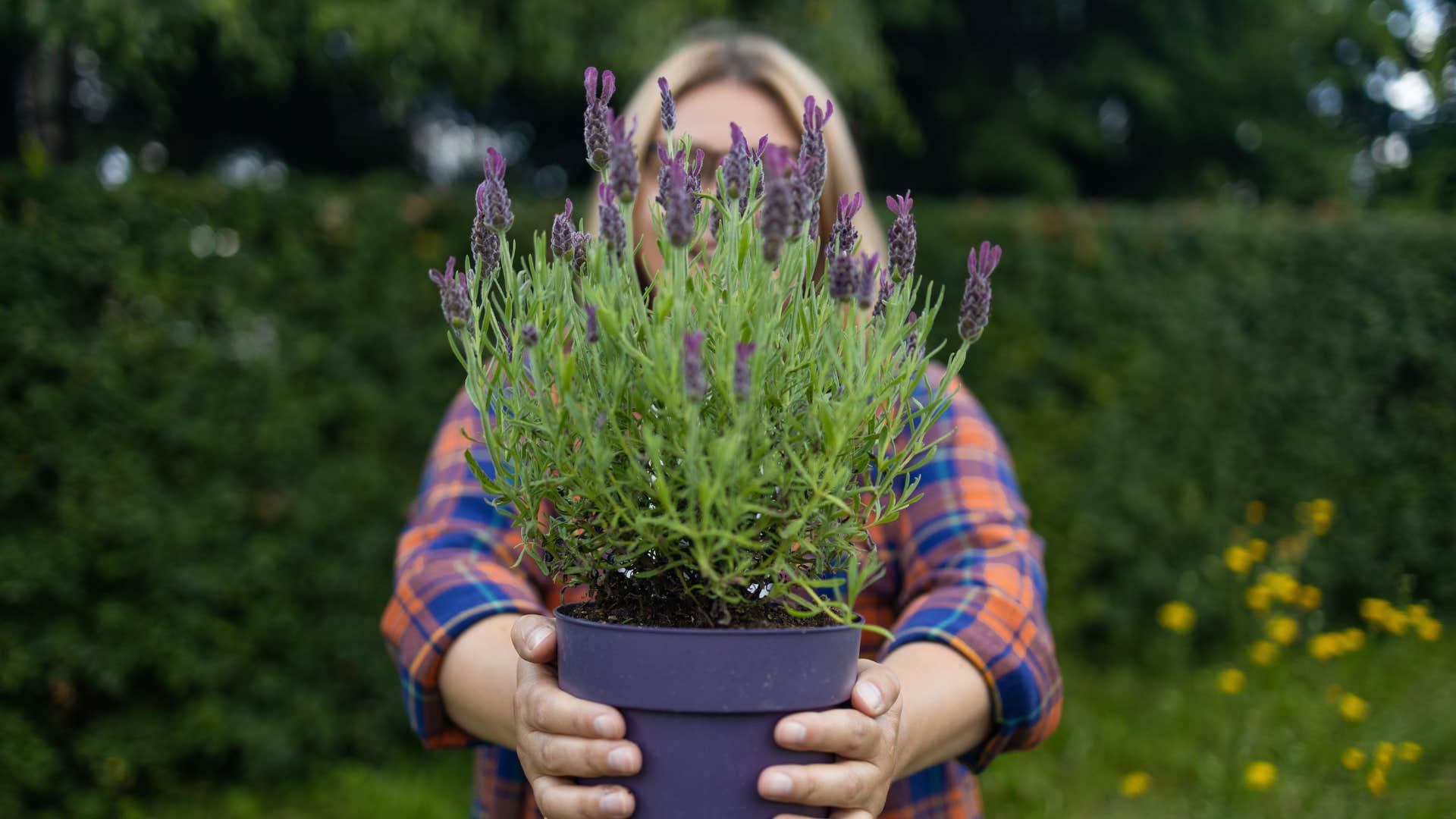 woman filling home with anti-anxiety plants to help support rest and relaxation