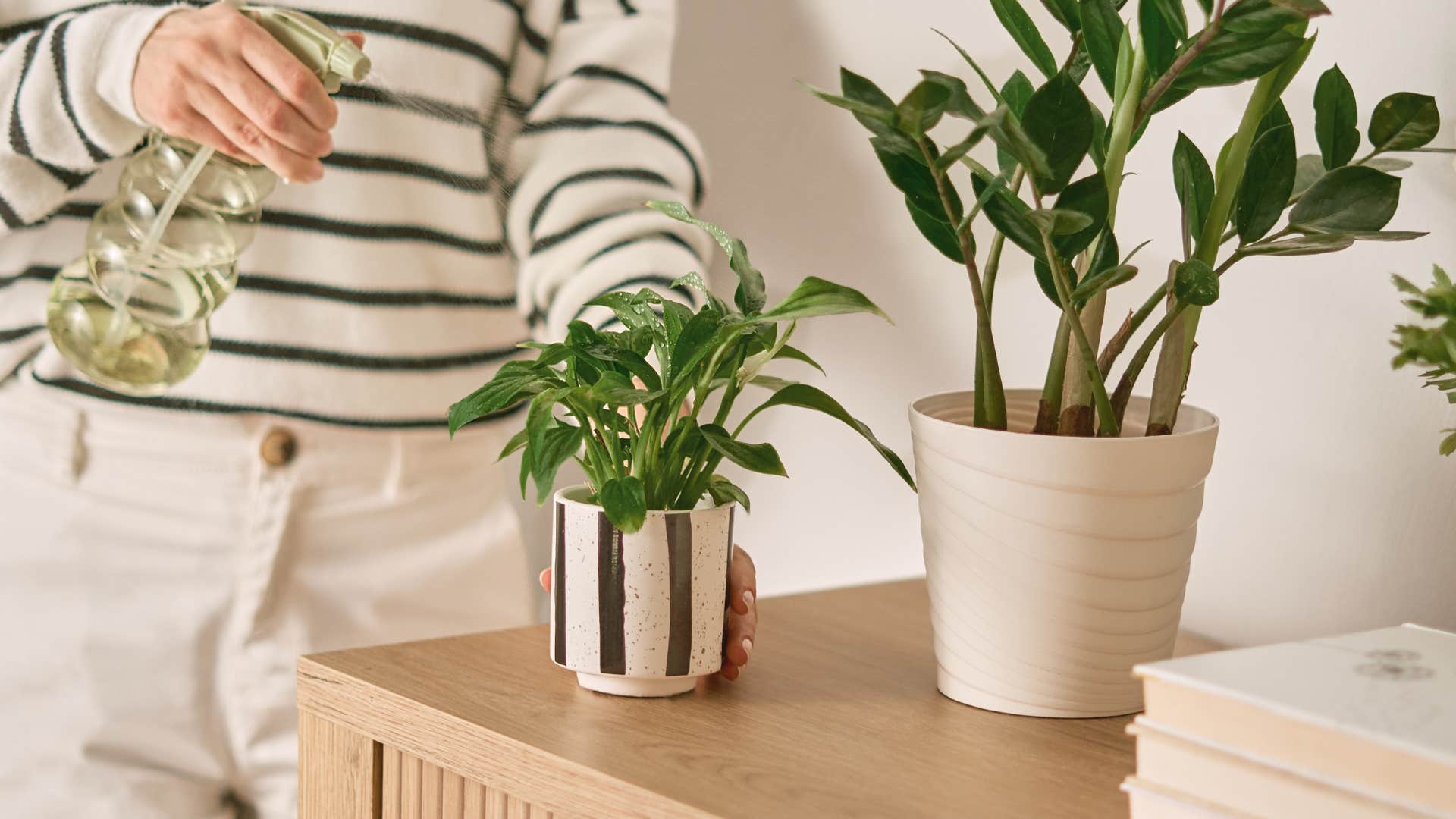 person filling home with plants to enhance emotional and mental health