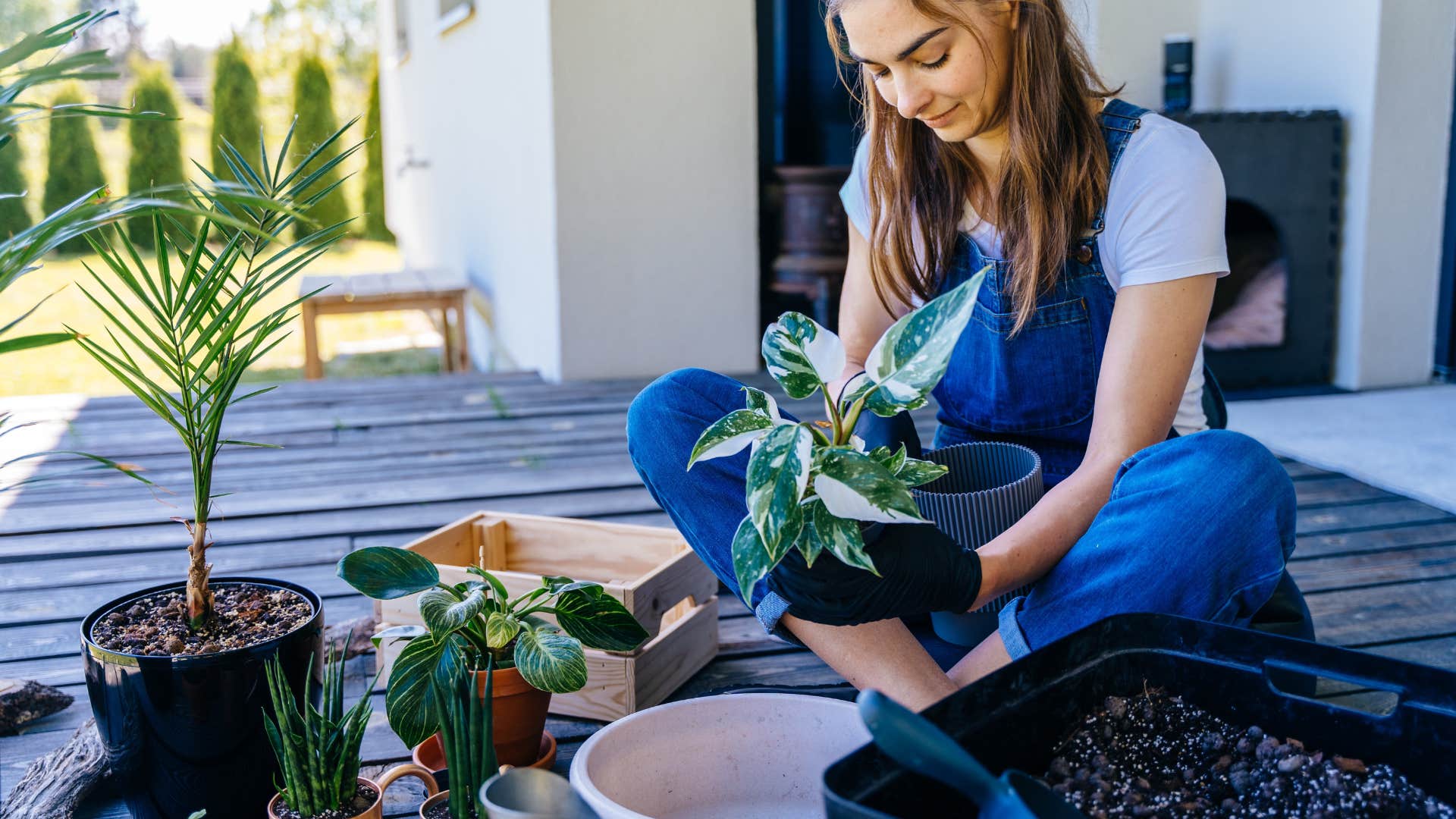 woman who fills her home with plants to help with digestion