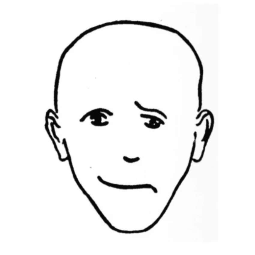 optical illusion test face b