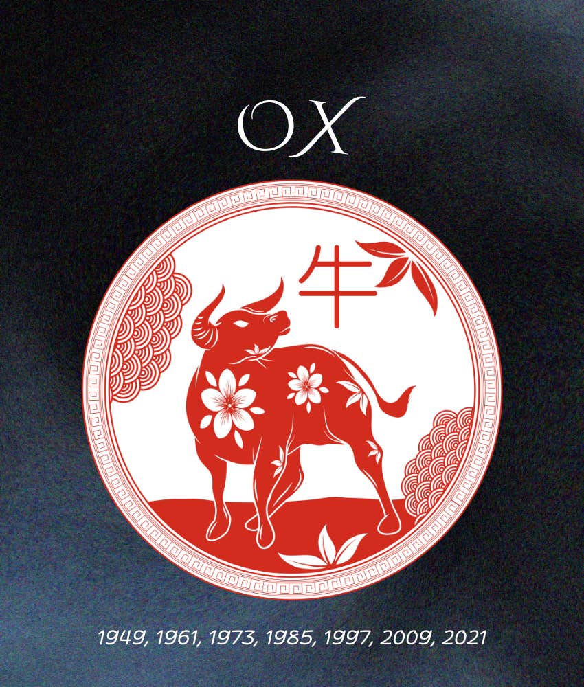 ox weekly chinese horoscopes zodiac signs december 1 -7, 2025