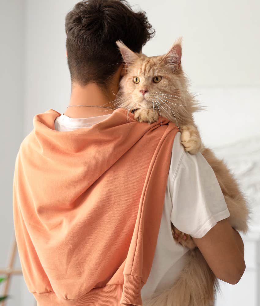 cat watching over owner at home