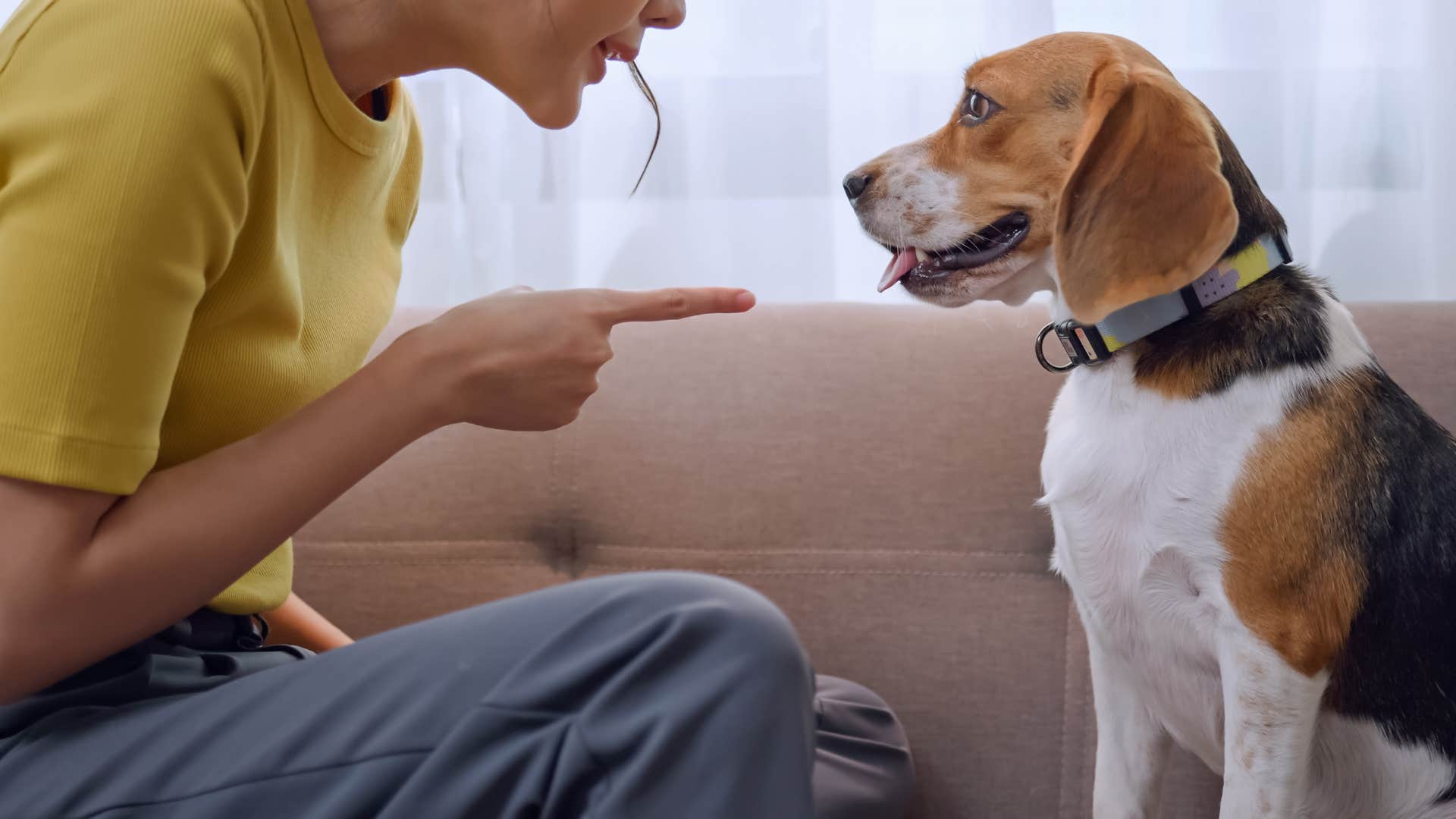 woman making her dog think she's mad by only using their name when they're in trouble
